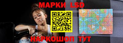 стафф Краснодар