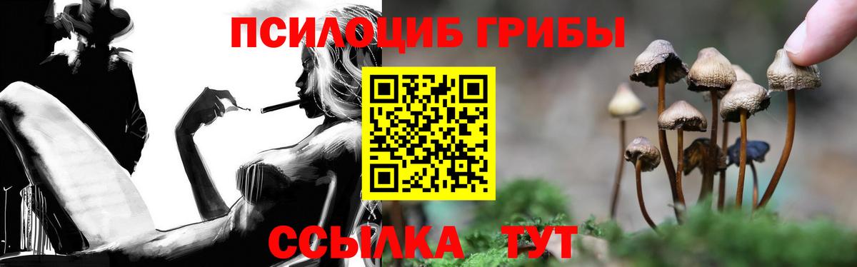 Псилоцибиновые грибы Psilocybine cubensis  Вход с VPN  Камышлов 