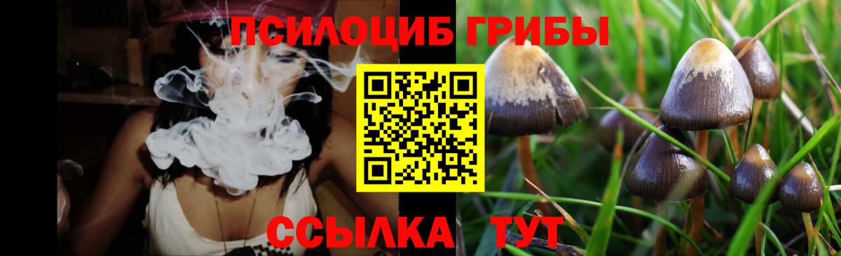Псилоцибиновые грибы Psilocybine cubensis Камышлов